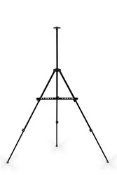 Sztaluga Metalowa, Czarna