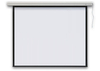 Ekran elektryczny PROFI 4:3
