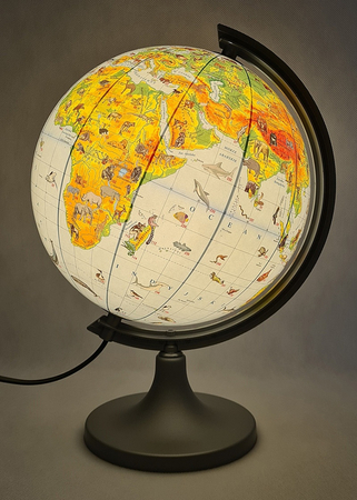 Globus zoologiczny z opisem GŁOWALA, podświetlany, śr. 250mm, w pudełku, z aplikacją AR