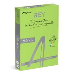 Papier ksero REY ADAGIO, A4, 80gsm, 16 zielony VIVE/BRIGHT *RYADA080X402 R100, 500 ark.